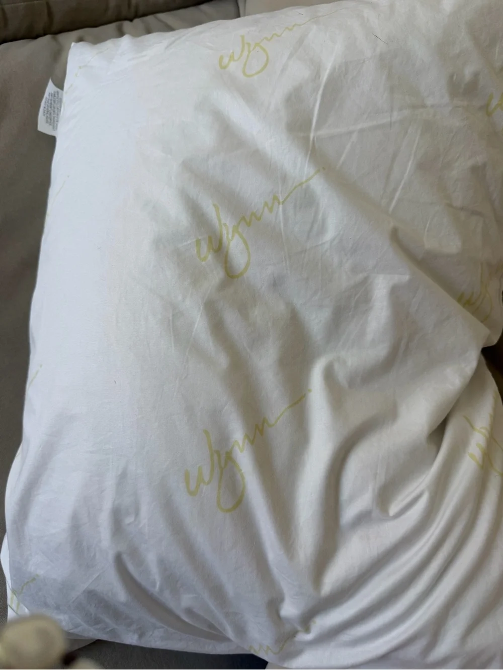 Wynn down and feather pillow sz standard